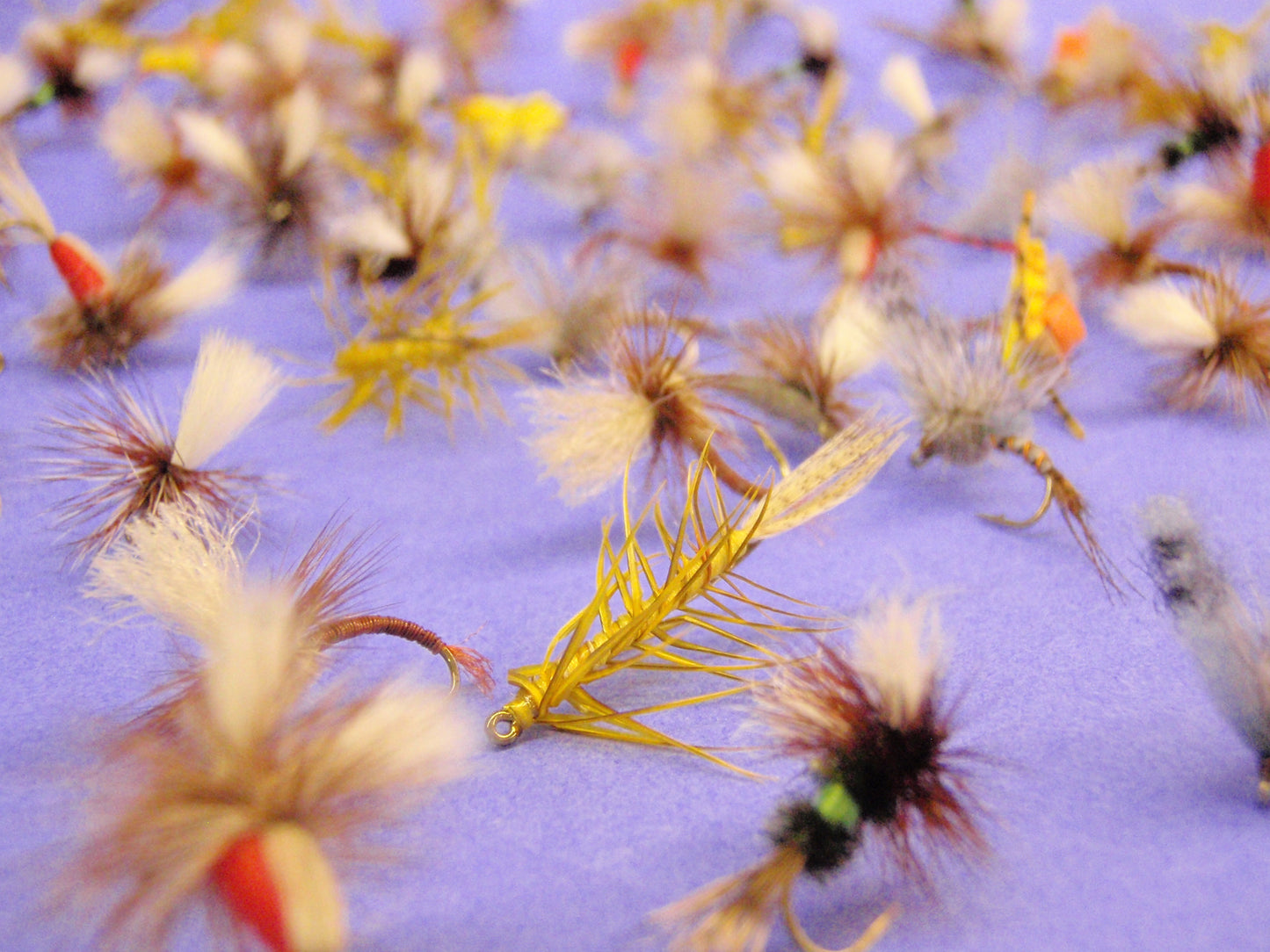 Gift Card - Fly Tying Class